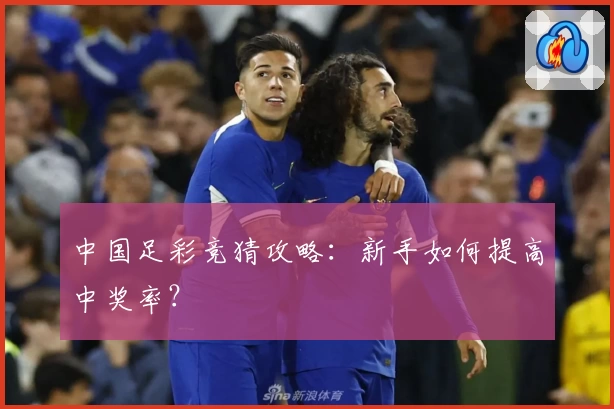 中国足彩竞猜攻略:新手如何提高中奖率?